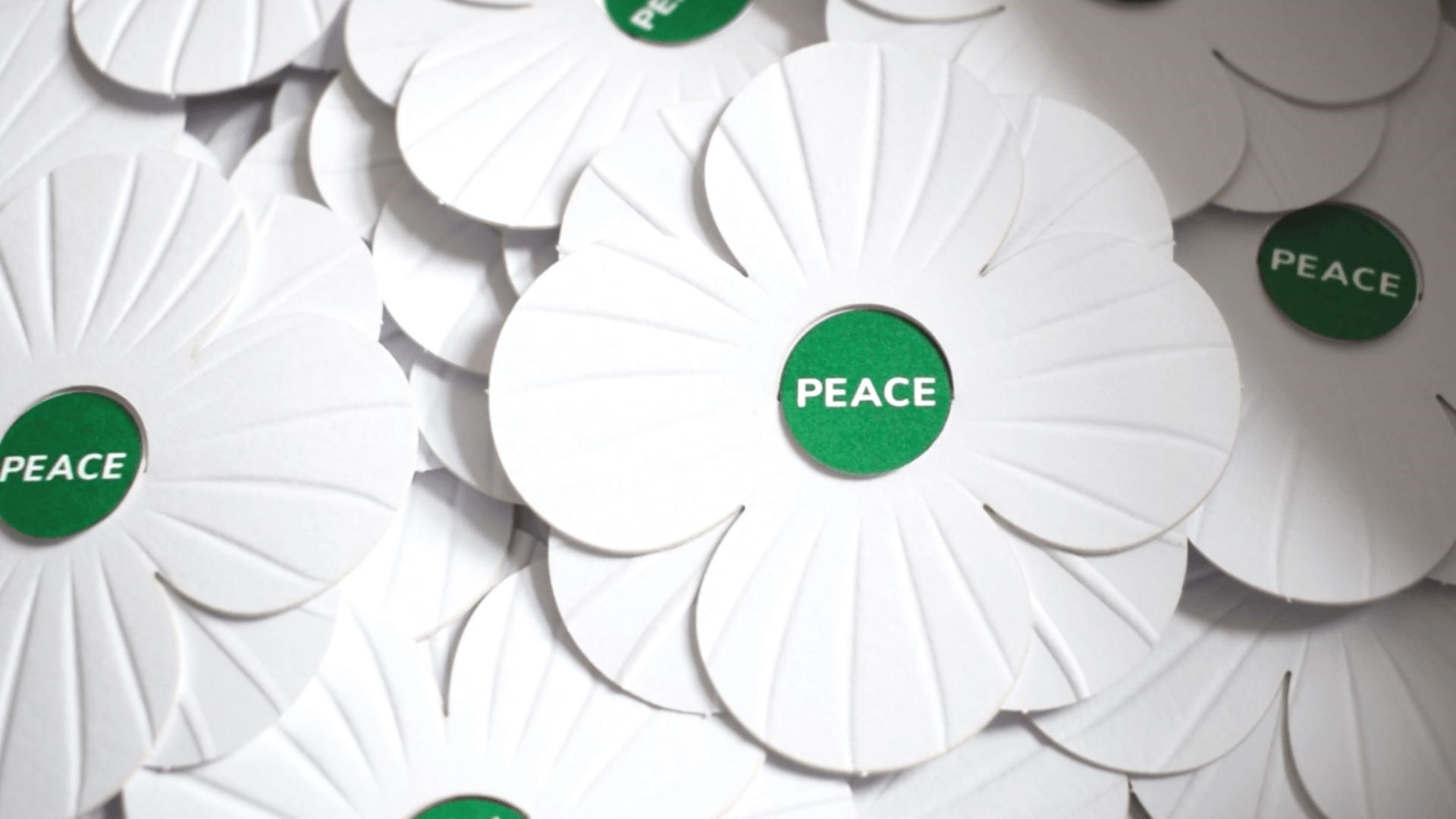 Design co-op Calverts overhauls white remembrance poppy with eco-friendly design