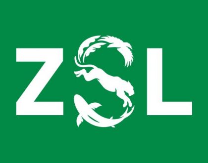 Rbl rebrands ZSL with ecosystem-inspired identity